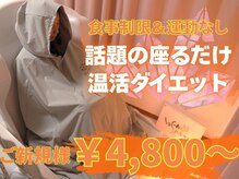 ヨサパーク ローズクォーツ 大名(YOSA PARK)