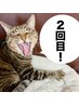 【2回目の方限定】ボディリンパマッサージ90分¥8500