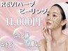 【肌荒れ根本改善】REVIハーブピーリング ノーマル