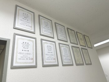 カーディナル(Cardinal)/ギャラリー２