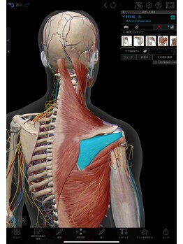 赤坂山王整骨院 鍼灸治療院 阿里山健康センター/肩凝りに関わる