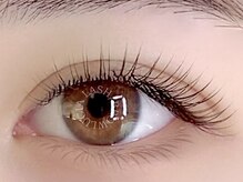 ルシアラッシュブロウ 新宿(LUCIA LASH BROW)/フラットラッシュ120本