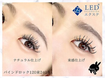 バニーラッシュ 津田沼店(Bunny Lash)/【シングルバインドロック】