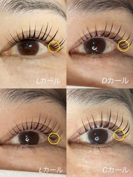 エーラッシュ(A-Lash)/まつ毛カール比較