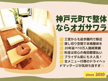 整体オガサワラの写真