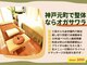 整体オガサワラの写真