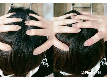 シンメトリー 麻布十番の写真