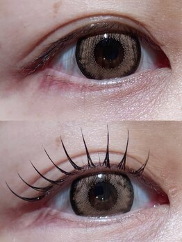 ステラ 恵比寿店(STELLA)/まつエクパーマ