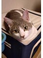 ノアボラーン(Noad Boran)&nbsp;愛猫