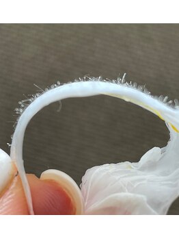 アデージョ(Adejio)/WAXXXX