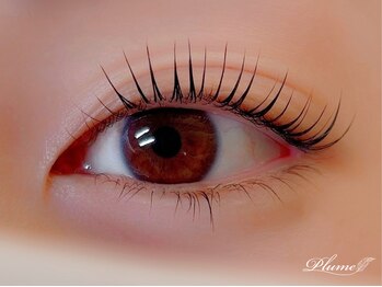 プリュム(plume)/まつ毛パーマ