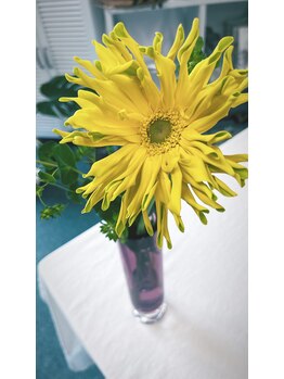 マシュマロハンド/肩こり/冷え/むくみ改善