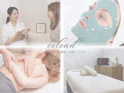 コリード(colead)の写真