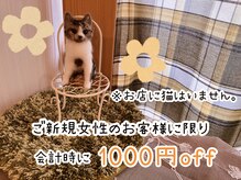 ほしねこの雰囲気（ご新規女性のお客様に限り、会計時に1000円offいたします★）