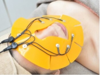 フェイスアップ ヴィーナス(face up Venus)