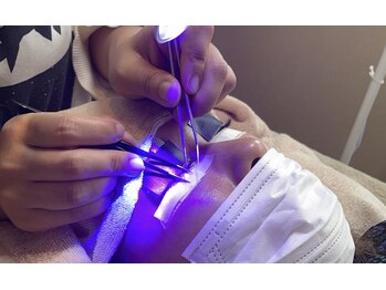 フラミンゴデザイン シー(flamingo design C)