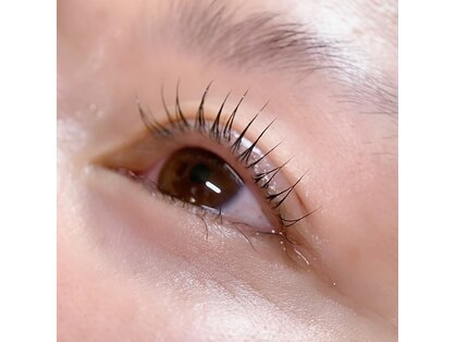 ソラ(Sora)の写真