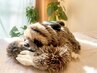 なまけものの おまかせ|150分