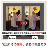 ユッカ(Yucca)