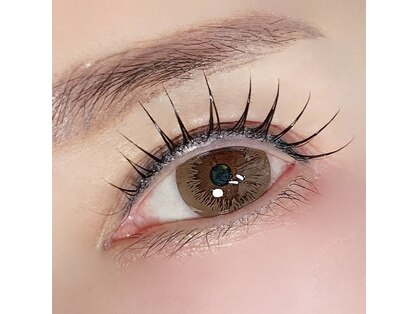 シチ(Shichi)の写真