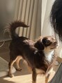 ネイルパティオ 新越谷店(nail patio)&nbsp;わんちゃん飼ってます！動物好きです☆