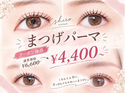 シロアイラッシュ(shiro.eyelash)の写真