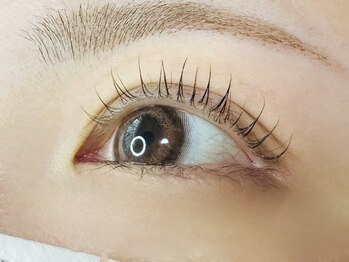 オメメビューティー(Omeme Beauty)/まつ毛パーマ（上）