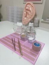 モンステラ/商材