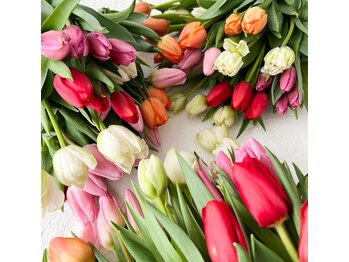 もみまつ 高岡院/花屋が運営する整体