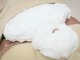 カイセイドウ(KAISEIDO)の写真/【敏感肌OK】至福のシャボンピーリング◆蓄積した毛穴汚れ＆シミをケア！美白・保湿・つやを一度に実感◎