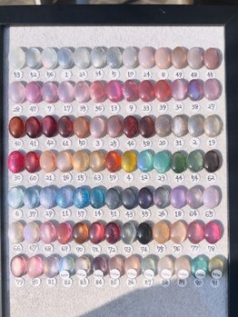 ココネイル 福生(COCO NAIL)/マグネットワンカラー¥7000