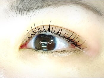 アンジェリーク ANGELIQUE/まつげパーマ