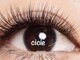 シシィアイラッシュ 堀江(cicie eyelash)の写真/《人気No1》【オフ無料!上フラットラッシュ無制限付け放題¥7000】まつエク専門店で主役級の目元が長続き★