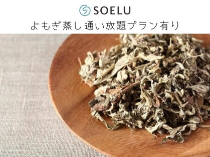 ソエル 神楽坂店(SOELU)の写真