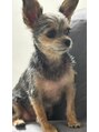 ハナココプラス 水戸店(hanaCoco+Plus) 犬飼ってます☆毎日癒されてます!犬好きな人お話ししましょう!