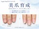 ラピスネイル(Lapis Nail)の写真