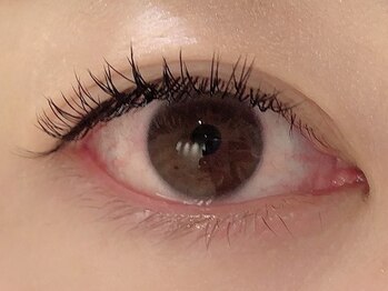 カラン 焼津店(CALIN)/フラットラッシュ140本