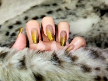 シュガーネイル(sugar nail)/マグネット グラデネイル