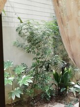 コハク/女性専用個室には緑溢れる中庭♪