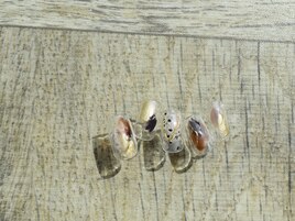 4月select(J)5,980円/全10種