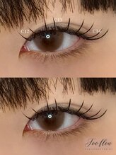 フーフロー(Fooflow)/フラットラッシュ120本