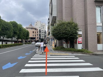 グリーンピール エルモナ(GREENPEEL ELMONA)/【道順】横断歩道を渡り
