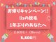 リズ(lis)の写真