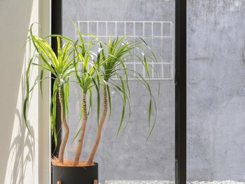 リリ 西院店(Rily)/内装