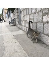 ステラ ネイル(stella nail)&nbsp;AMI 