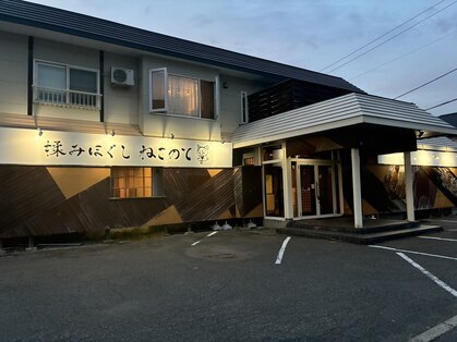 ねこのての写真