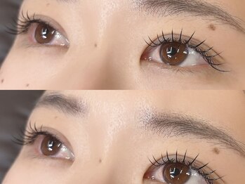 リトル(Litll)/フラットラッシュ140本