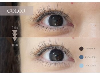 リプリ(RePuli)/フラットラッシュ