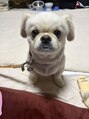 スキンケアガーデン カロン(SkinCaregarden Kalon)&nbsp;おうちにワンちゃんがいます！