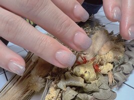 ◎グラデーション◎